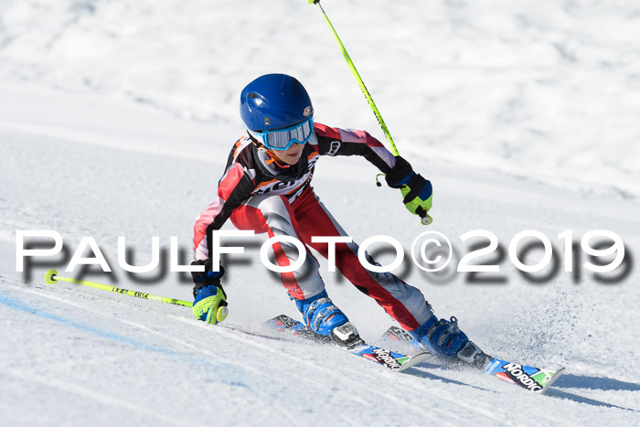 Ziener Cup WF, RS, 24.02.2019