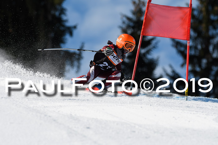 Ziener Cup WF, RS, 24.02.2019