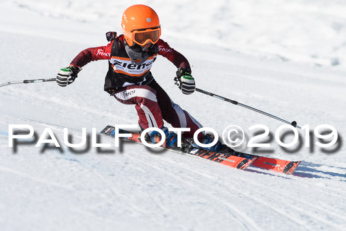 Ziener Cup WF, RS, 24.02.2019