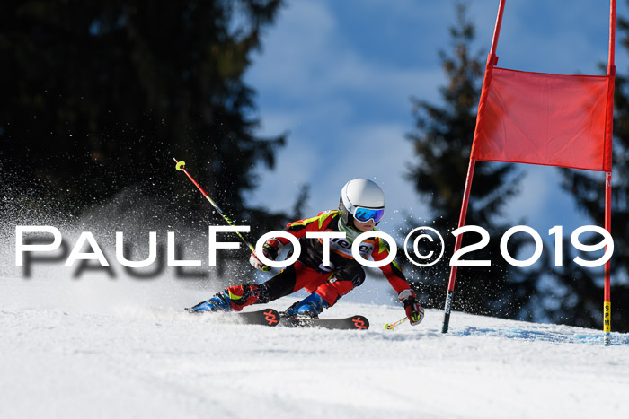 Ziener Cup WF, RS, 24.02.2019