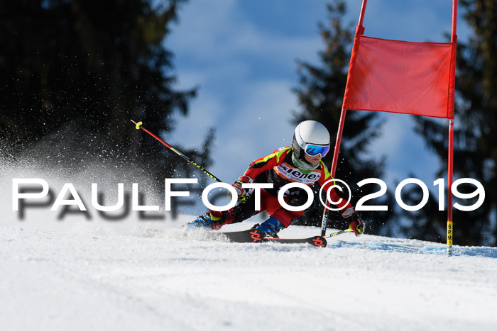 Ziener Cup WF, RS, 24.02.2019