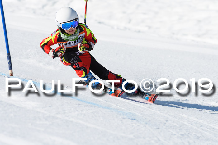 Ziener Cup WF, RS, 24.02.2019