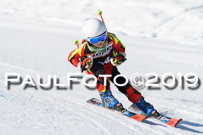 Ziener Cup WF, RS, 24.02.2019