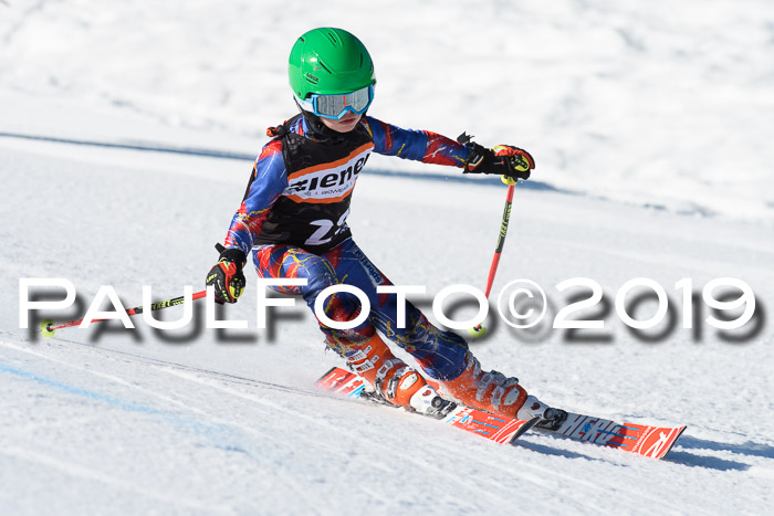 Ziener Cup WF, RS, 24.02.2019