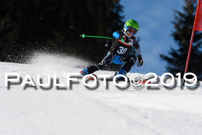 Ziener Cup WF, RS, 24.02.2019