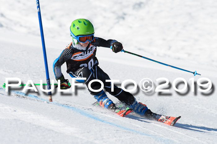 Ziener Cup WF, RS, 24.02.2019