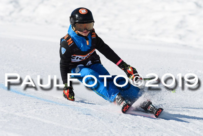 Ziener Cup WF, RS, 24.02.2019