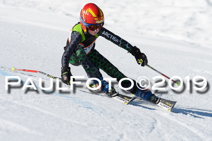 Ziener Cup WF, RS, 24.02.2019