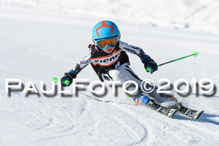 Ziener Cup WF, RS, 24.02.2019