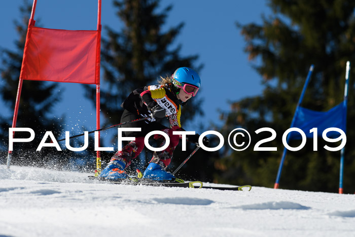 Ziener Cup WF, RS, 24.02.2019