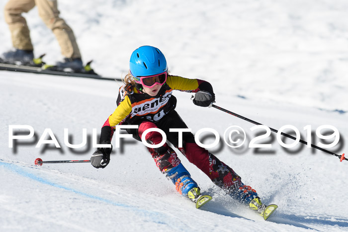 Ziener Cup WF, RS, 24.02.2019