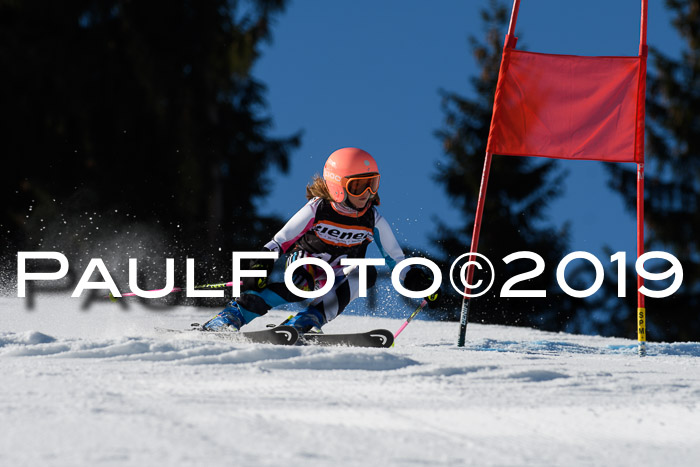 Ziener Cup WF, RS, 24.02.2019