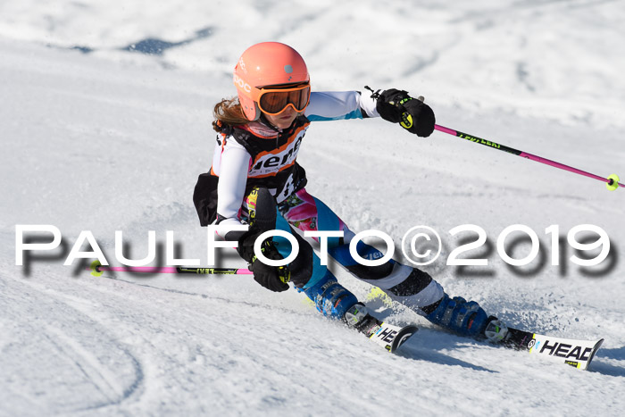 Ziener Cup WF, RS, 24.02.2019