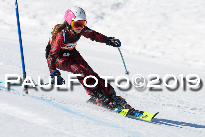 Ziener Cup WF, RS, 24.02.2019