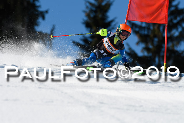 Ziener Cup WF, RS, 24.02.2019