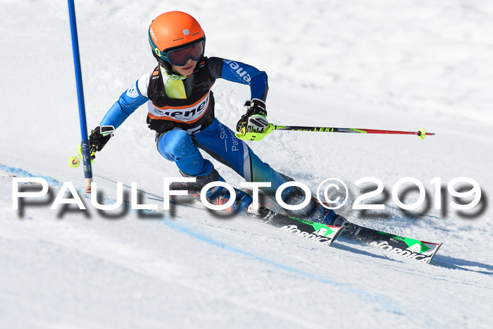 Ziener Cup WF, RS, 24.02.2019