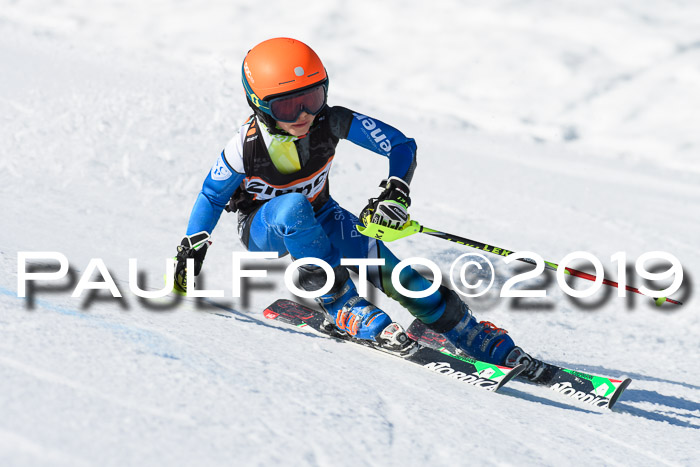 Ziener Cup WF, RS, 24.02.2019