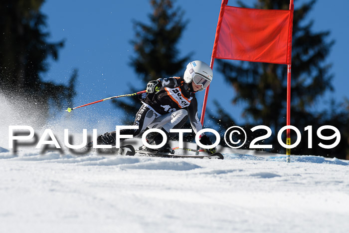 Ziener Cup WF, RS, 24.02.2019