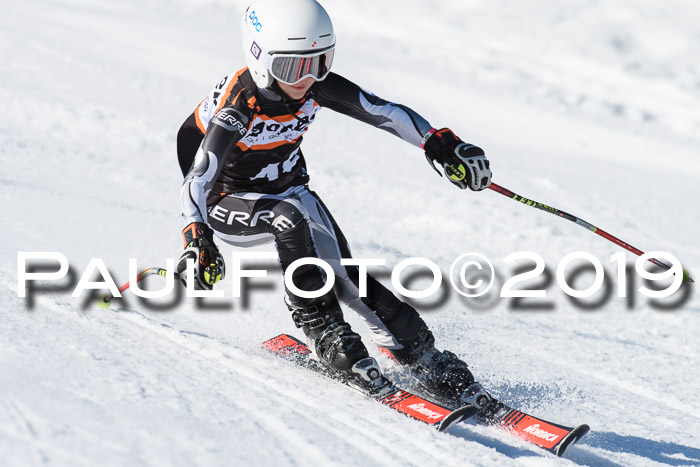 Ziener Cup WF, RS, 24.02.2019