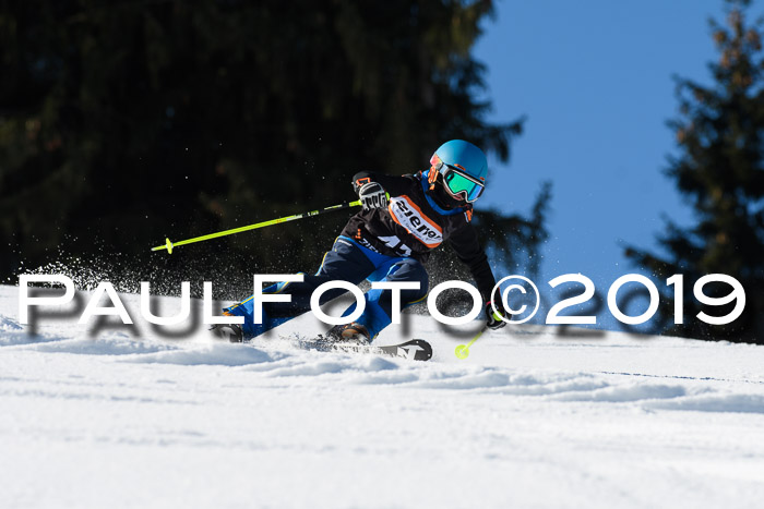 Ziener Cup WF, RS, 24.02.2019