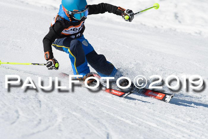 Ziener Cup WF, RS, 24.02.2019