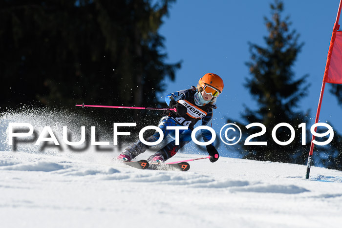 Ziener Cup WF, RS, 24.02.2019