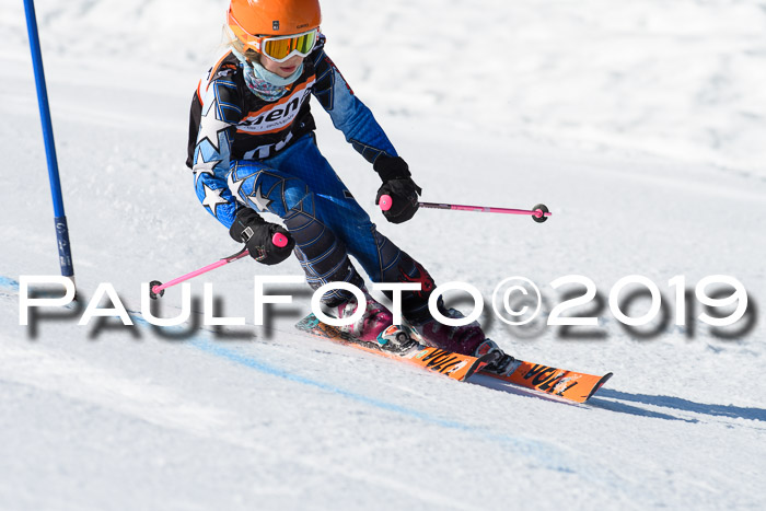 Ziener Cup WF, RS, 24.02.2019