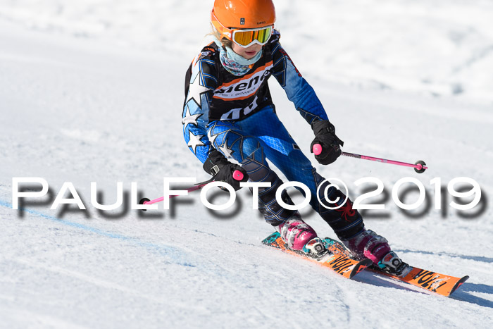 Ziener Cup WF, RS, 24.02.2019