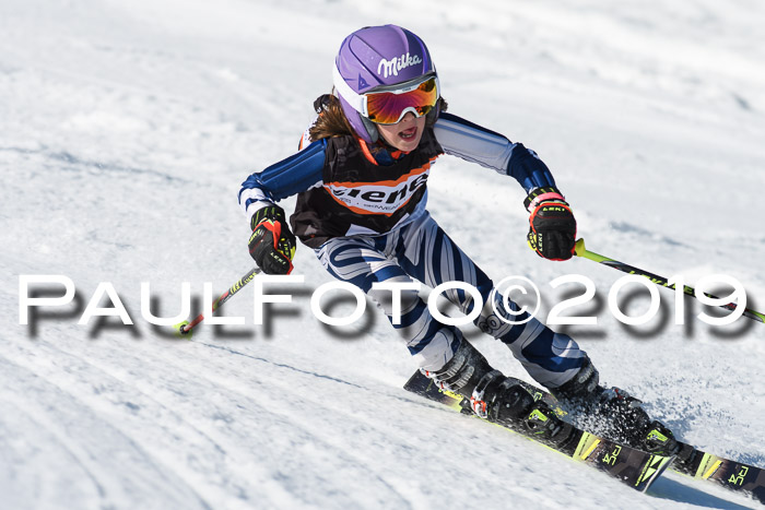 Ziener Cup WF, RS, 24.02.2019