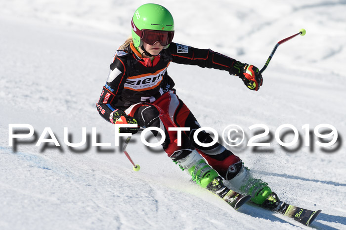 Ziener Cup WF, RS, 24.02.2019