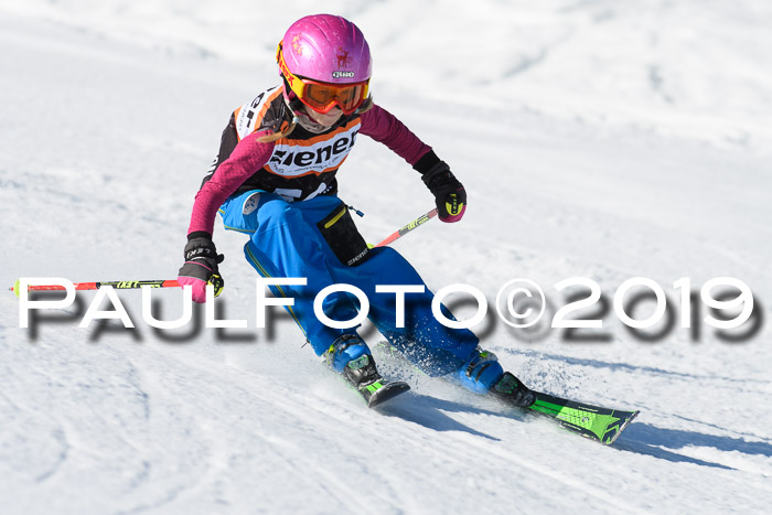 Ziener Cup WF, RS, 24.02.2019