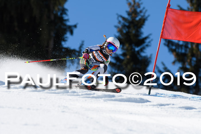 Ziener Cup WF, RS, 24.02.2019