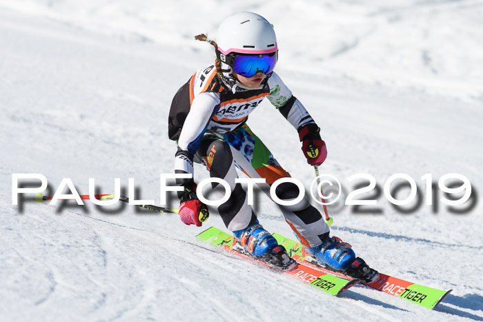 Ziener Cup WF, RS, 24.02.2019