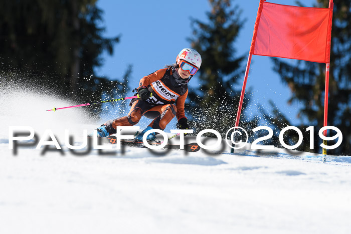 Ziener Cup WF, RS, 24.02.2019