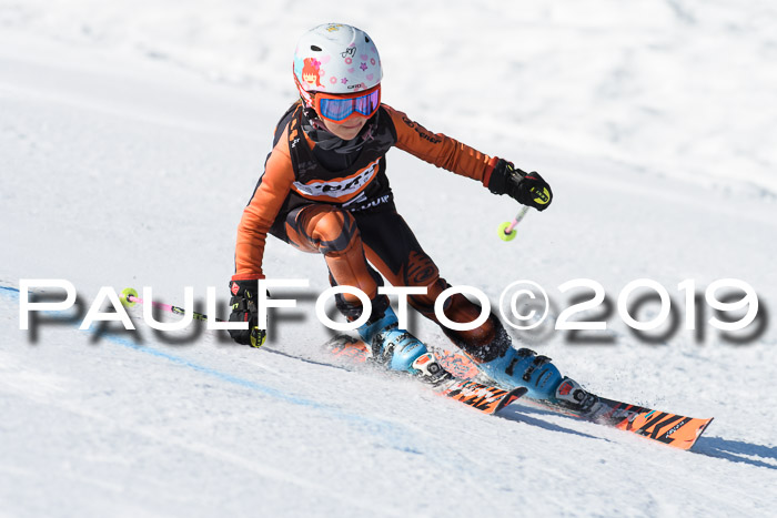 Ziener Cup WF, RS, 24.02.2019