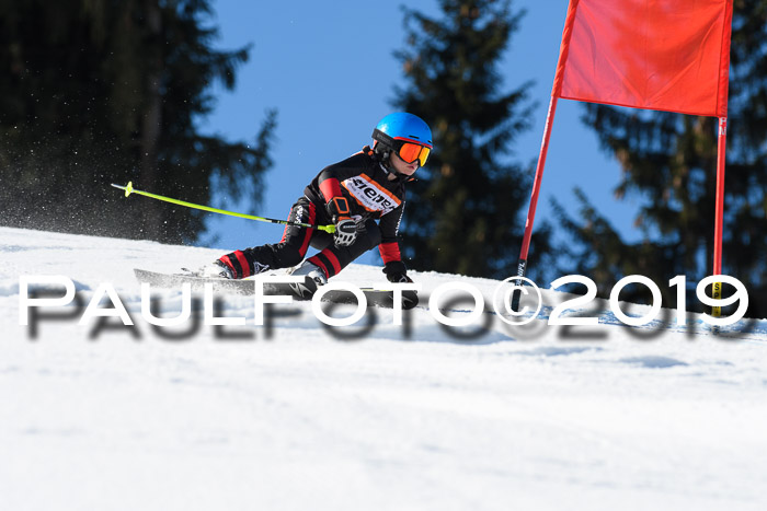 Ziener Cup WF, RS, 24.02.2019