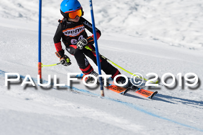 Ziener Cup WF, RS, 24.02.2019