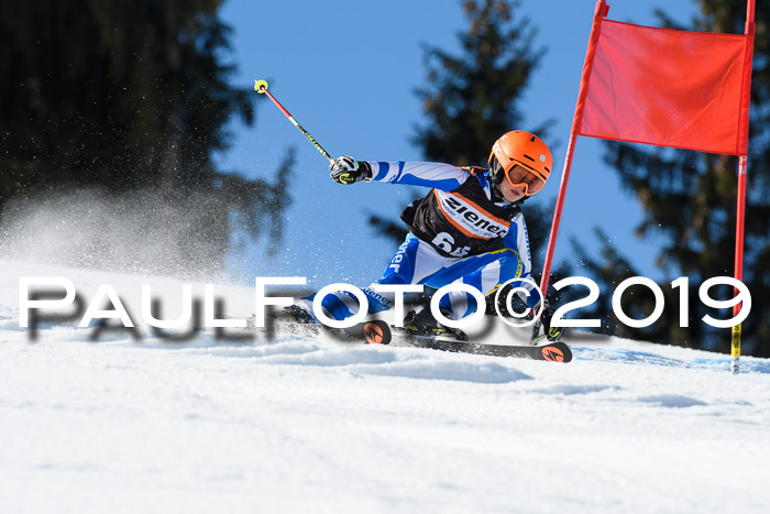 Ziener Cup WF, RS, 24.02.2019