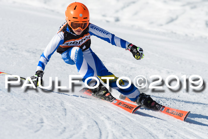 Ziener Cup WF, RS, 24.02.2019