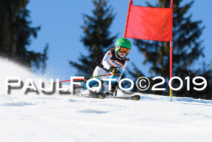 Ziener Cup WF, RS, 24.02.2019