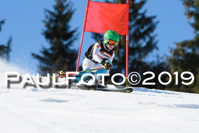 Ziener Cup WF, RS, 24.02.2019