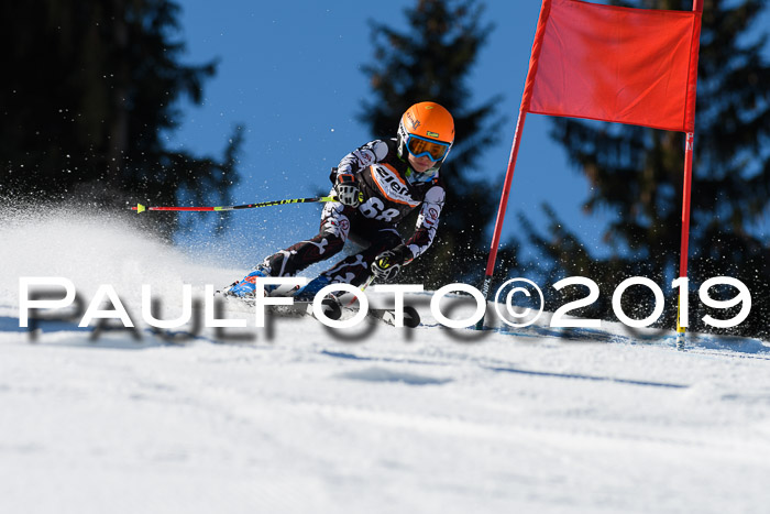 Ziener Cup WF, RS, 24.02.2019