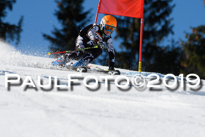 Ziener Cup WF, RS, 24.02.2019