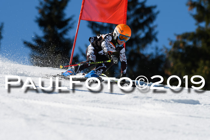 Ziener Cup WF, RS, 24.02.2019