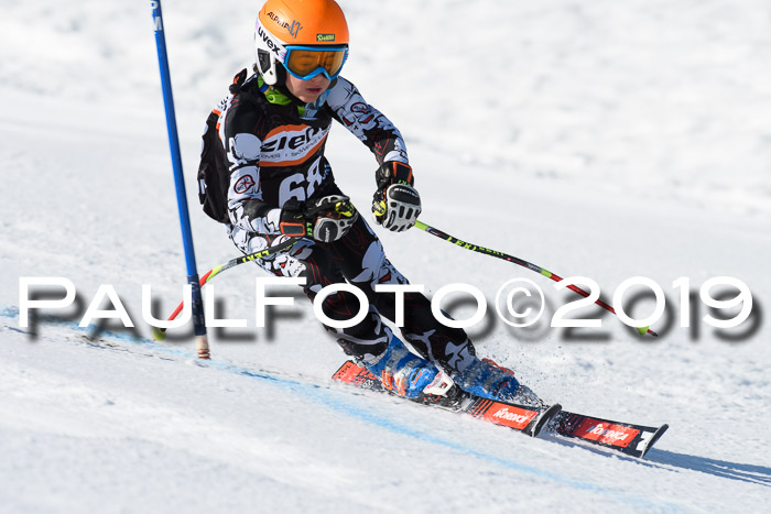 Ziener Cup WF, RS, 24.02.2019