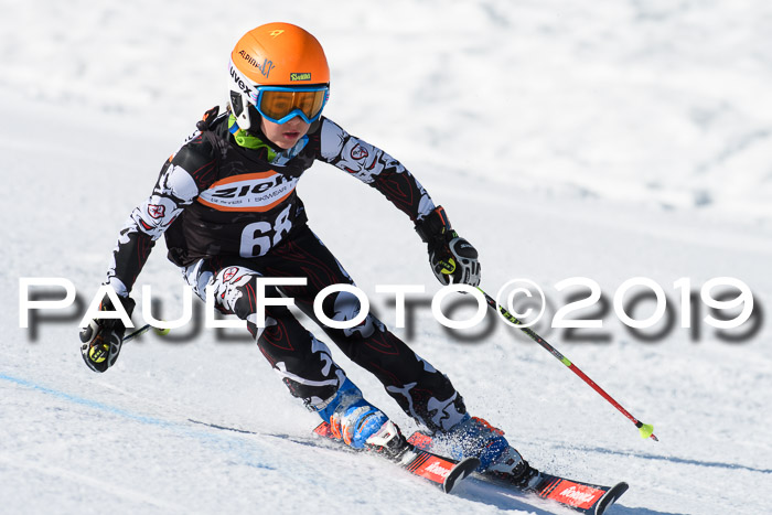 Ziener Cup WF, RS, 24.02.2019