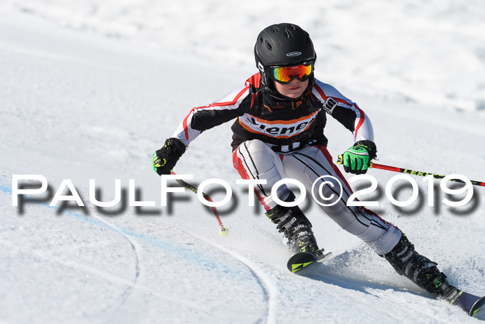 Ziener Cup WF, RS, 24.02.2019