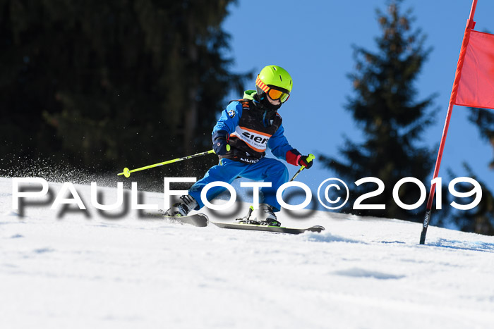 Ziener Cup WF, RS, 24.02.2019