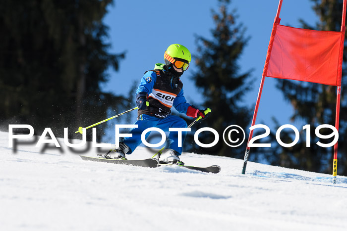 Ziener Cup WF, RS, 24.02.2019