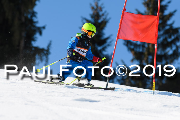 Ziener Cup WF, RS, 24.02.2019